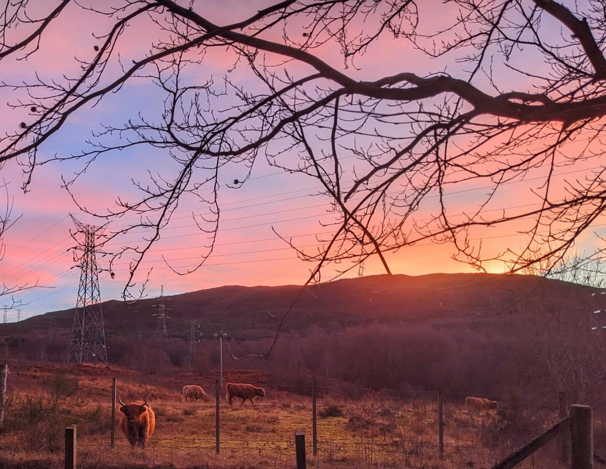 Studio Cottage Tummel Bridge 外观 照片
